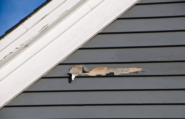 Best Siding Removal and Disposal  in Diamond Ridge, AK